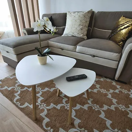 Camoes Studiogeral *