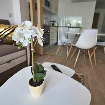 Apartament Camoes Studiogeral