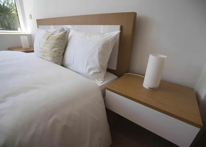 Camoes Studiogeral Bragança