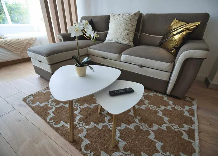 Camoes Studiogeral *