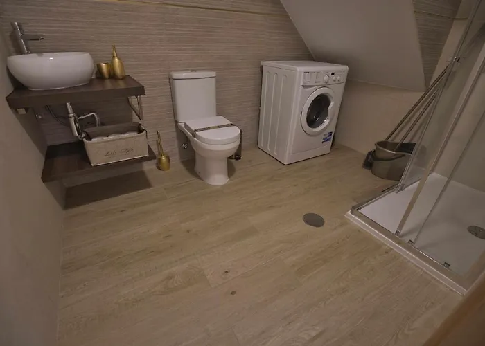 Camoes Studiogeral *