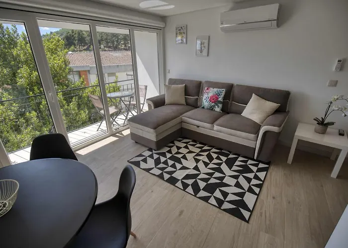 Camoes Studiogeral *